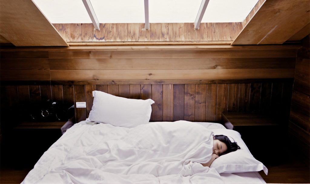 9 plantas de dormitorio que le ayudarán a dormir mejor