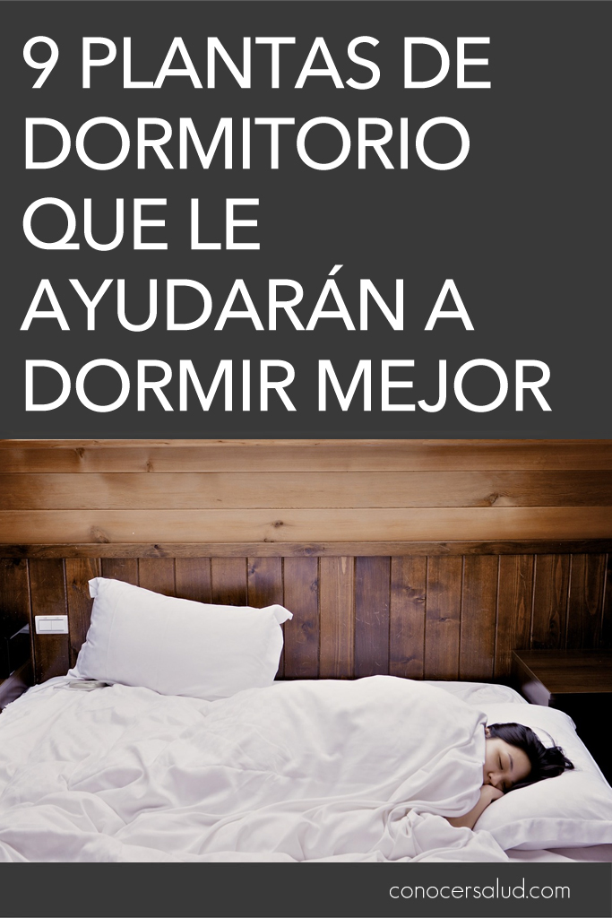 9 plantas de dormitorio que le ayudarán a dormir mejor