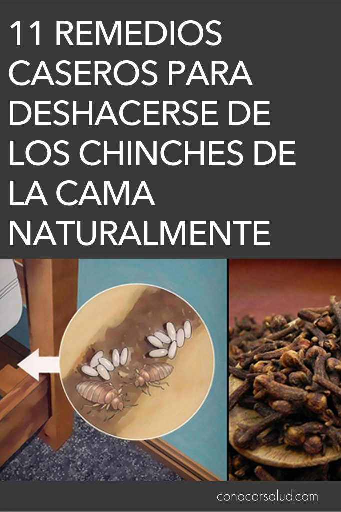 11 remedios caseros para deshacerse de los chinches de la cama naturalmente