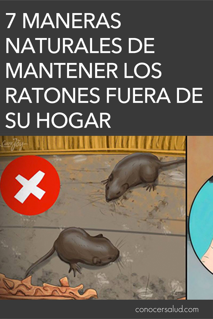 7 maneras naturales de mantener los ratones fuera de su hogar