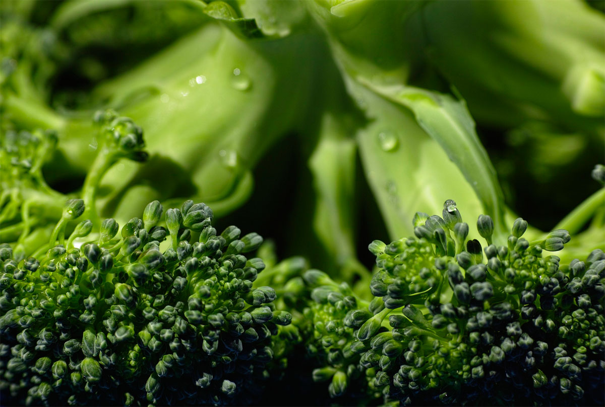 Estas 14 cosas le suceden a su cuerpo cuando come brócoli regularmente