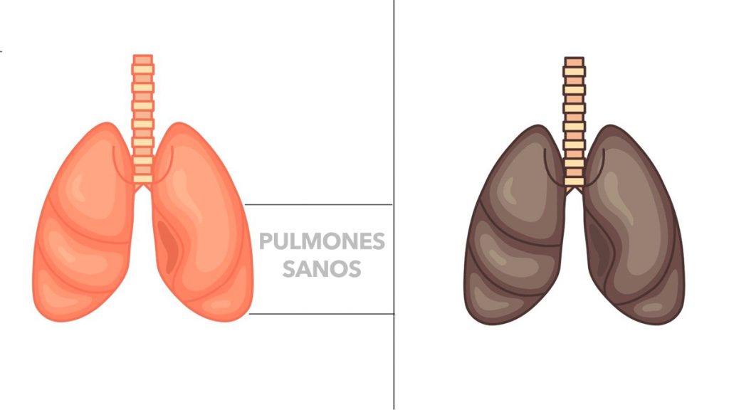 5 alimentos que desintoxican y curan sus pulmones naturalmente