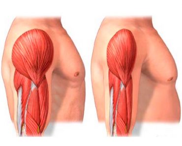 4 maneras de prevenir la pérdida muscular con la edad