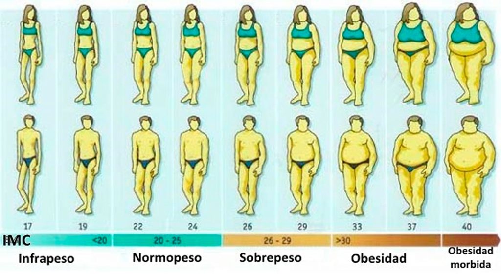 19 alimentos que le ayudarán a reducir el exceso de peso corporal