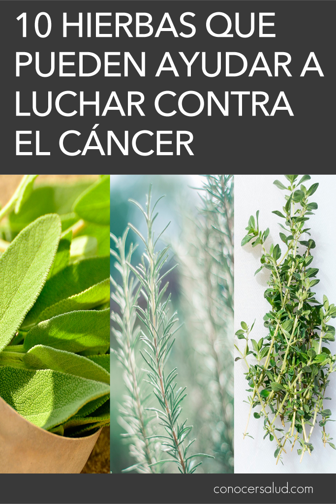 10 hierbas que pueden ayudar a luchar contra el cáncer