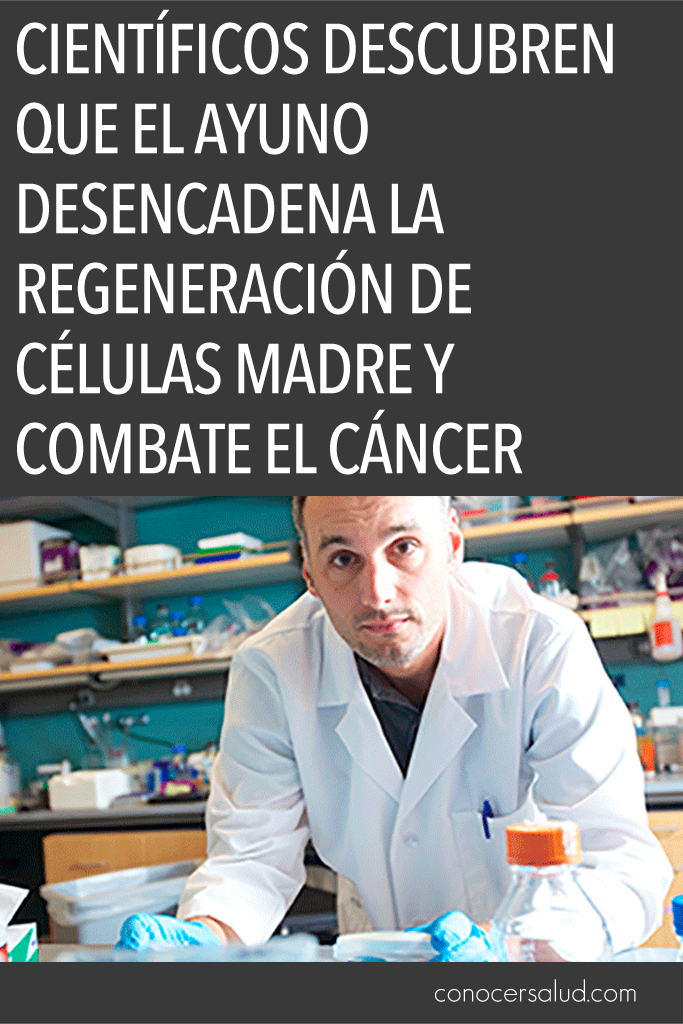 Científicos descubren que el ayuno desencadena la regeneración de células madre y combate el cáncer