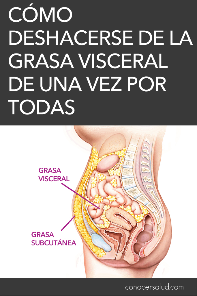 Cómo deshacerse de la grasa visceral de una vez por todas