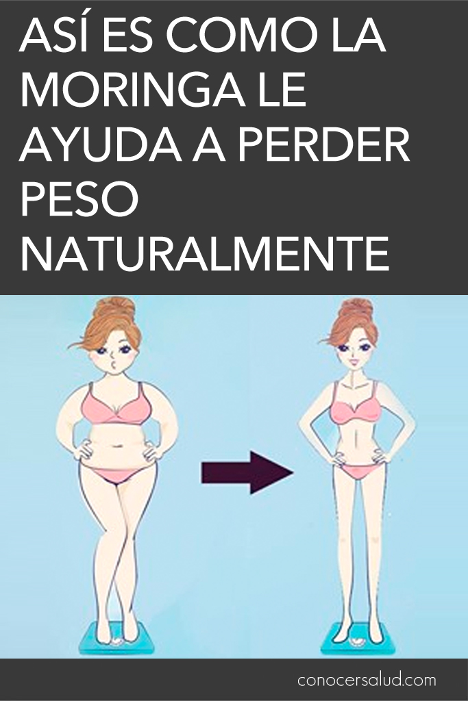 Así es como la moringa le ayuda a perder peso naturalmente