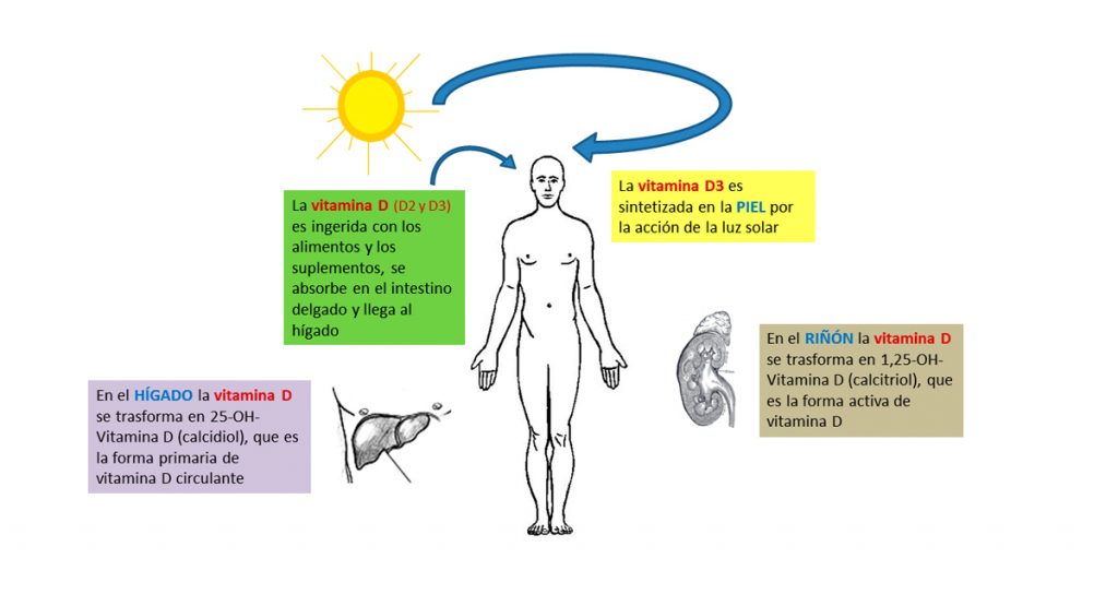 5 señales y síntomas de la deficiencia de vitamina D
