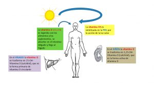 5 señales y síntomas de la deficiencia de vitamina D