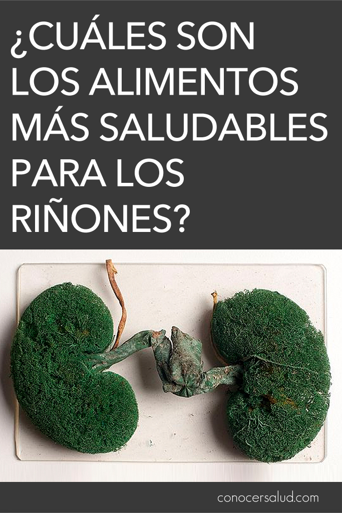 ¿Cuáles son los alimentos más saludables para los riñones?