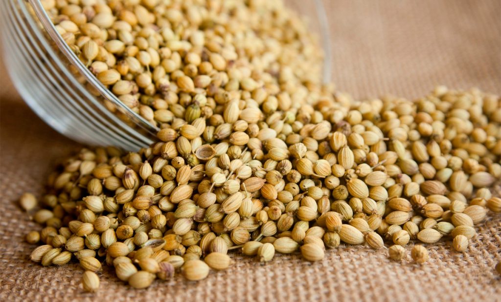 8 beneficios comprobados para la salud de las semillas de cilantro