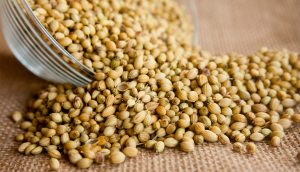 8 beneficios comprobados para la salud de las semillas de cilantro