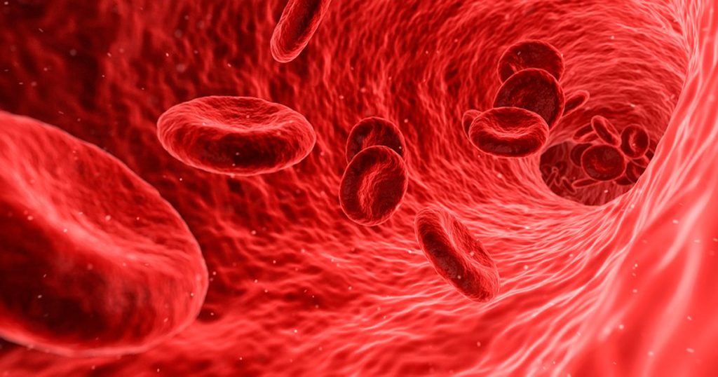15 alimentos que ayudan a limpiar su sangre naturalmente