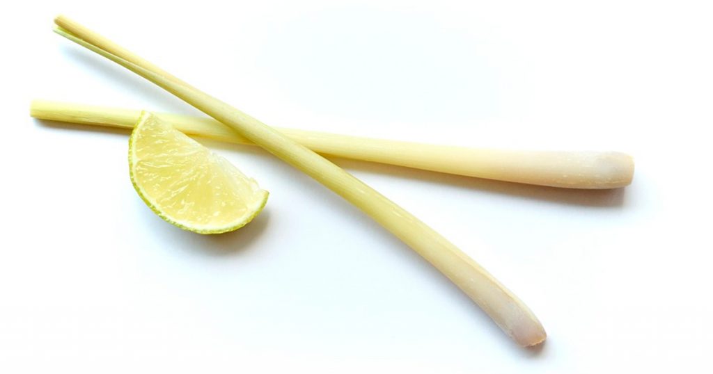 8 asombrosos beneficios para la salud de la citronela (o limoncillo)