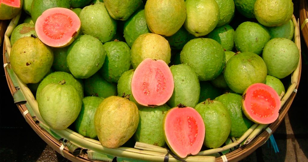 20 razones por las que la guayaba es realmente la super fruta definitiva