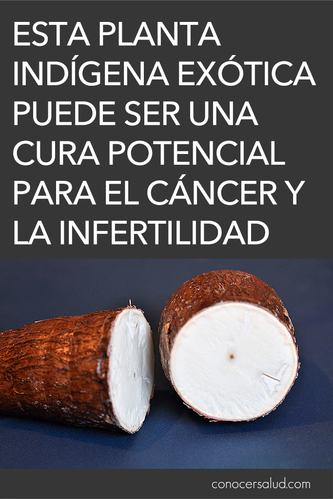 Esta planta indígena exótica puede ser una cura potencial para el cáncer y la infertilidad