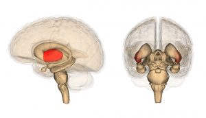 9 maneras simples de fortalecer su cerebro cada día