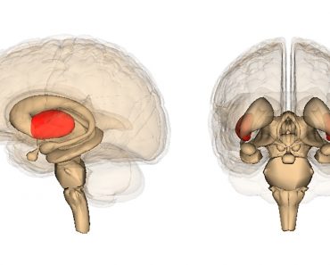 9 maneras simples de fortalecer su cerebro cada día