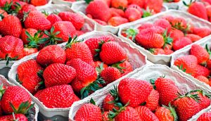 Las fresas pueden reducir la inflamación intestinal