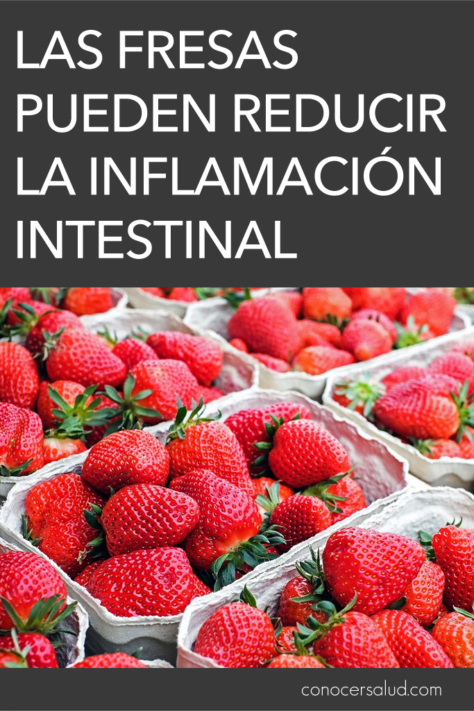 Las fresas pueden reducir la inflamación intestinal