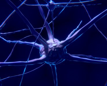 Cómo la inflamación incontrolada lleva a la pérdida de células cerebrales