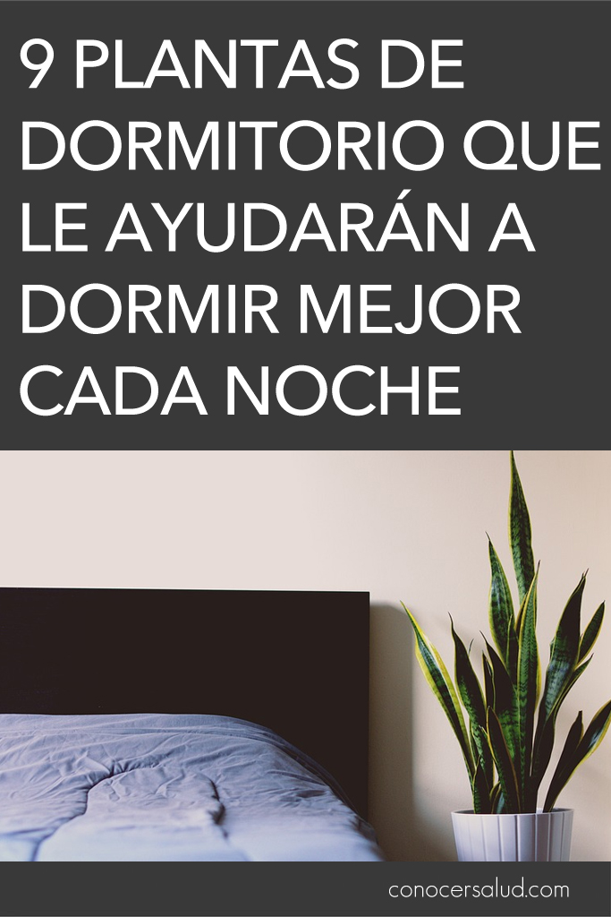 9 plantas de dormitorio que le ayudarán a dormir mejor cada noche