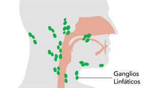 10 remedios caseros para tratar los ganglios linfáticos inflamados