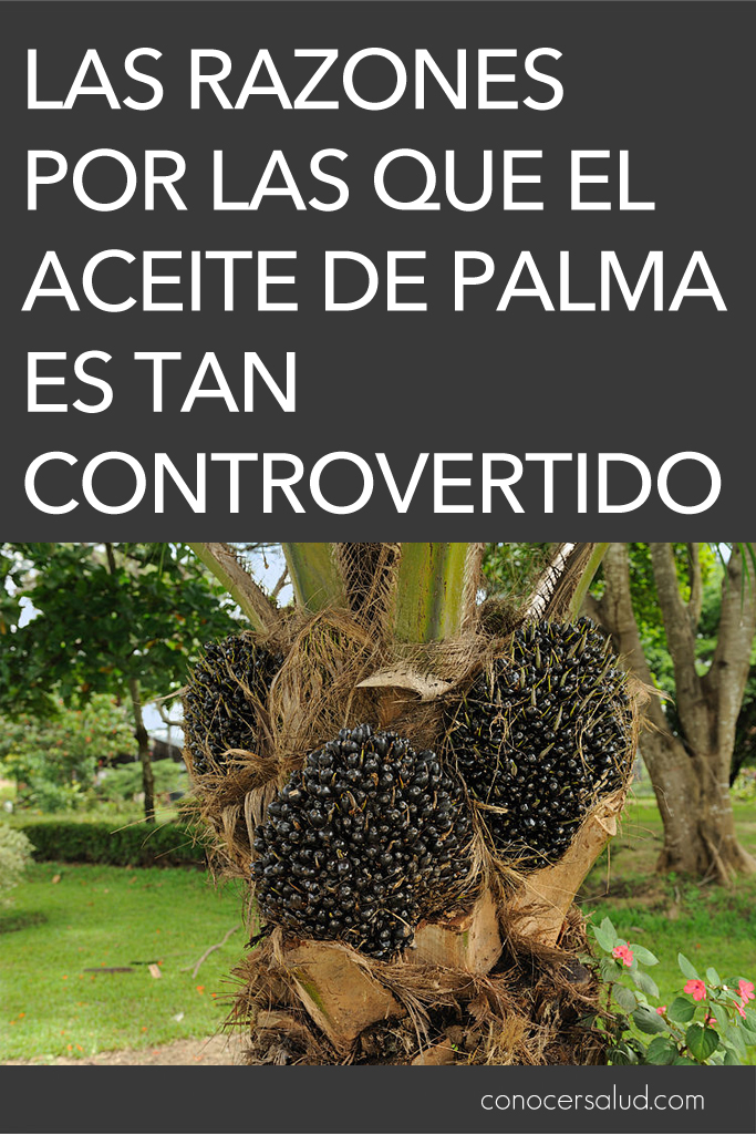 Las razones por las que el aceite de palma es tan controvertido