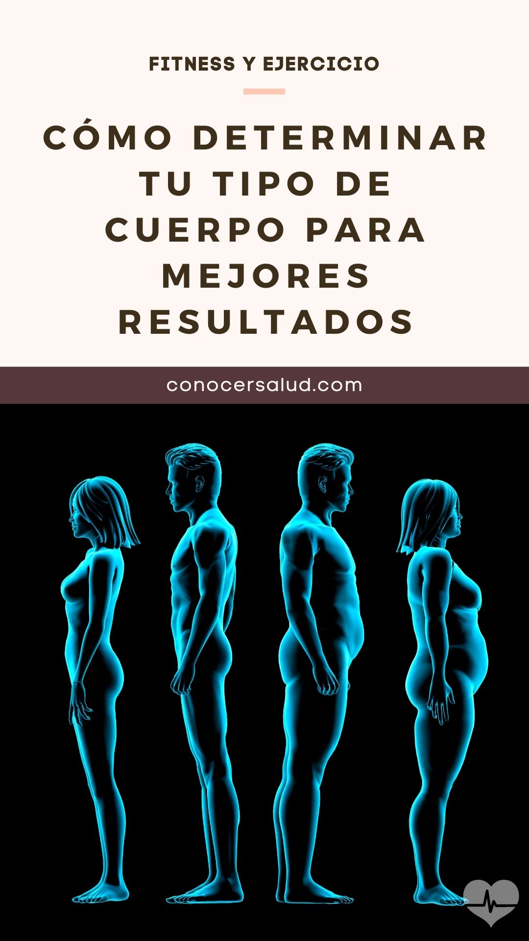 Cómo determinar tu tipo de cuerpo para mejores resultados