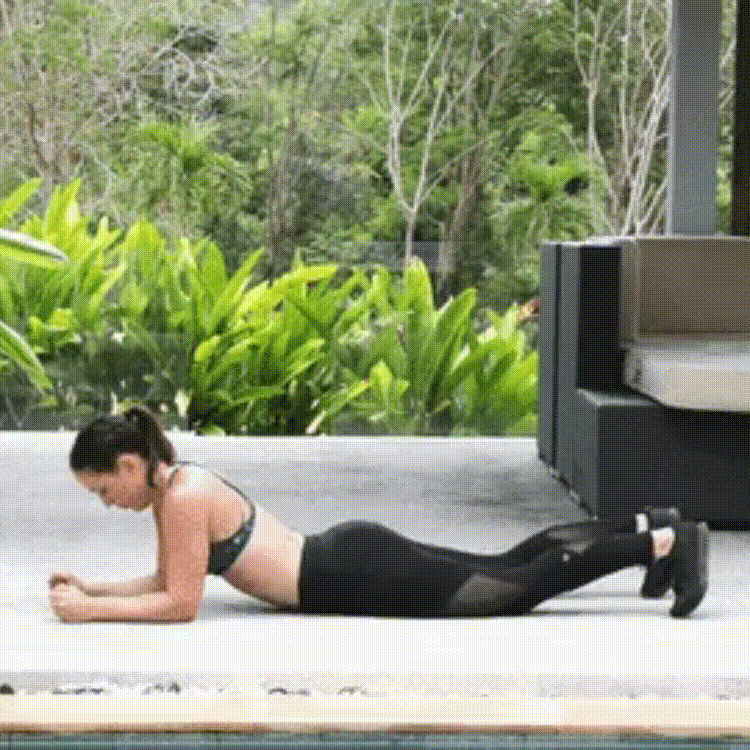 PLANCHA El reto de 21 días para perder grasa y tonificar todo el cuerpo