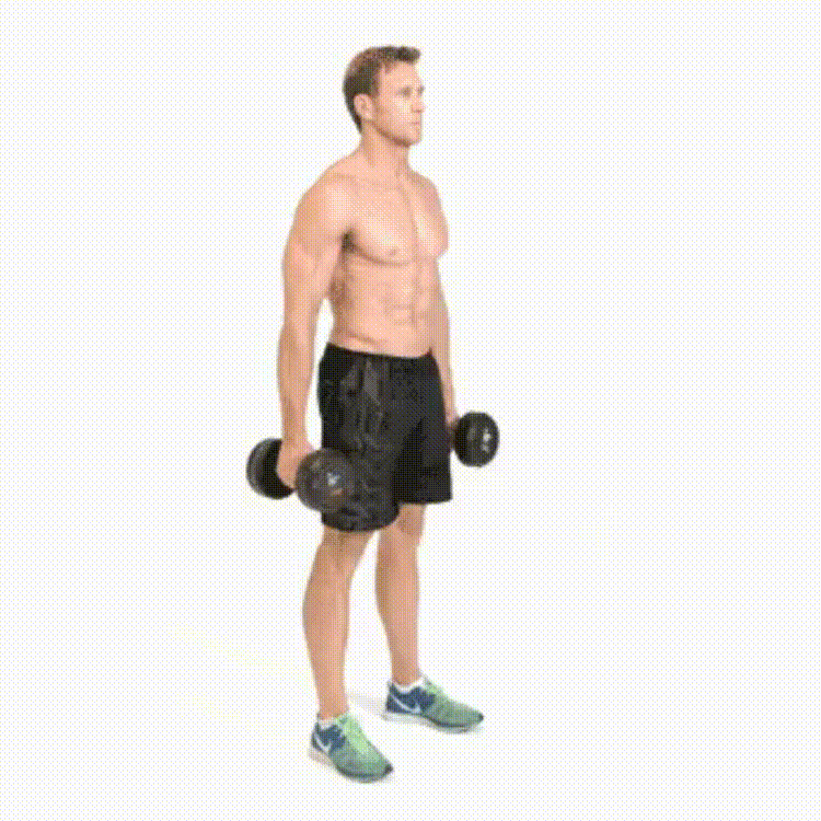 exercise Squat with dumbbells on the sides 13 Exercises to sculpt and strengthen your glutes