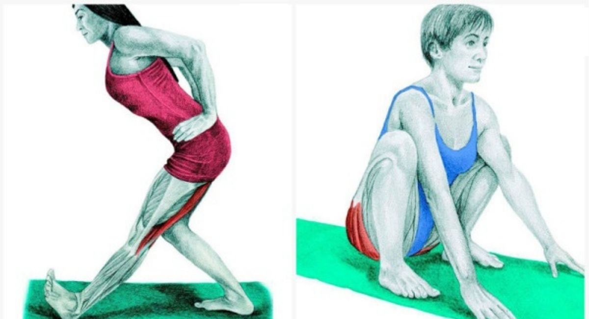 20 ejercicios de estiramiento para principiantes que le muestran exactamente qué músculos debe estirar