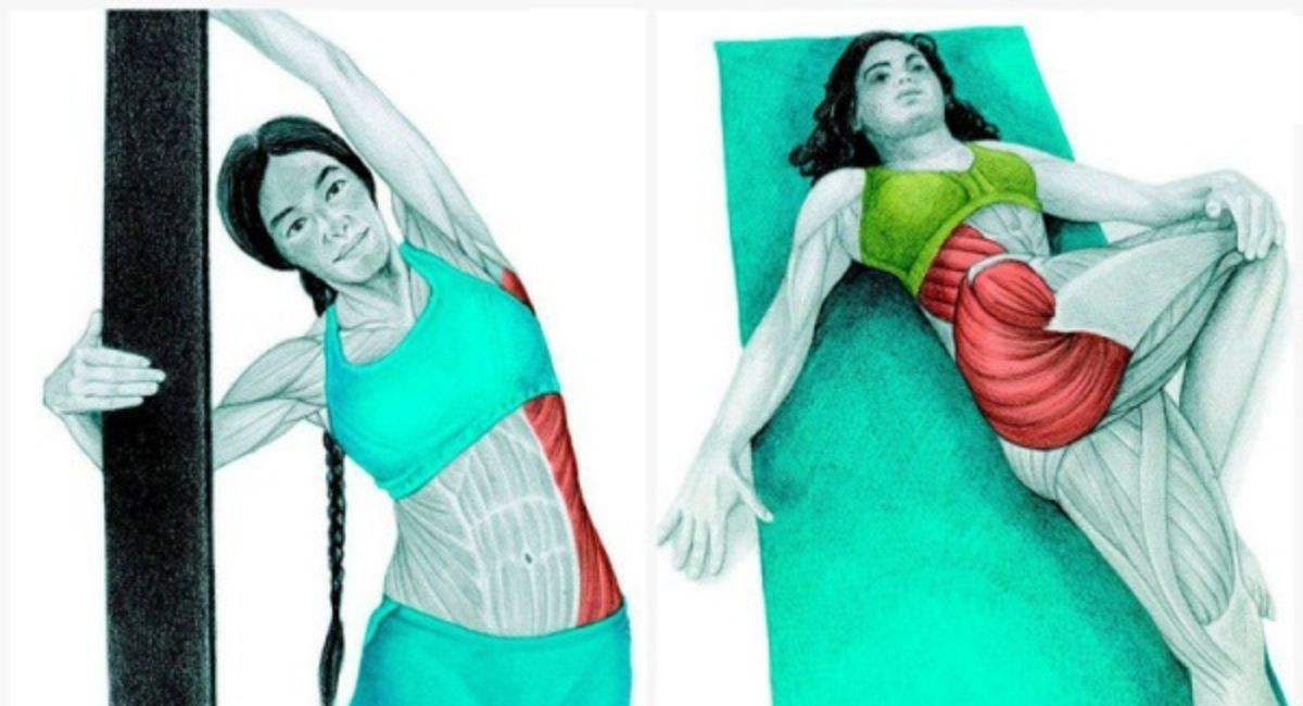 20 ejercicios de estiramiento para principiantes que le muestran exactamente qué músculos debe estirar