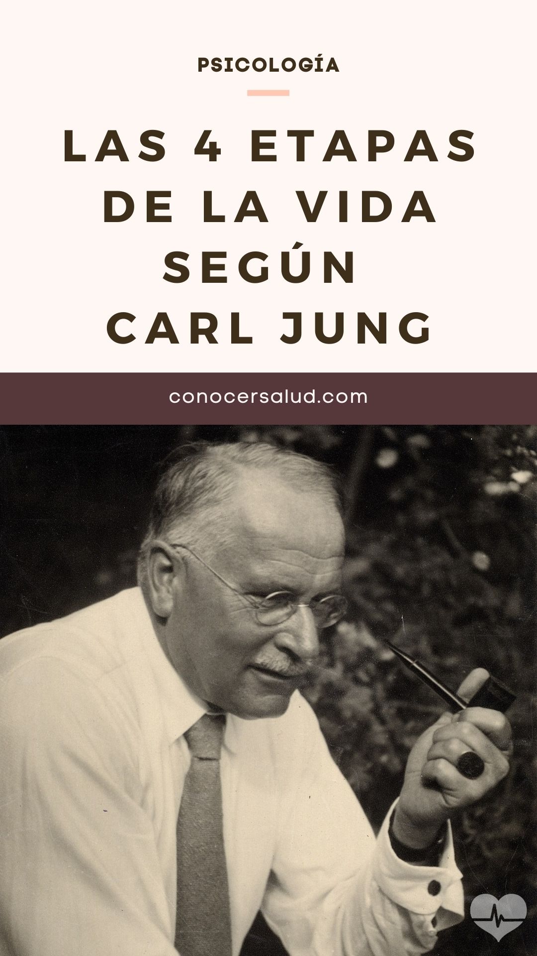 Las 4 etapas de la vida según Carl Jung