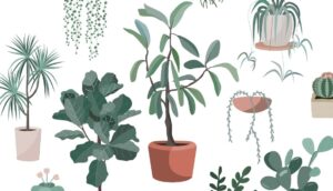 15 plantas de la suerte según el Feng Shui y dónde ponerlas en su casa