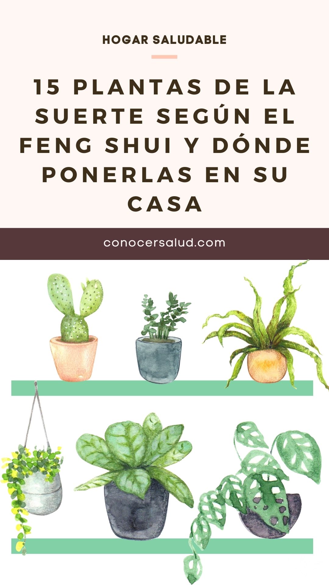 15 plantas de la suerte según el Feng Shui y dónde ponerlas en su casa