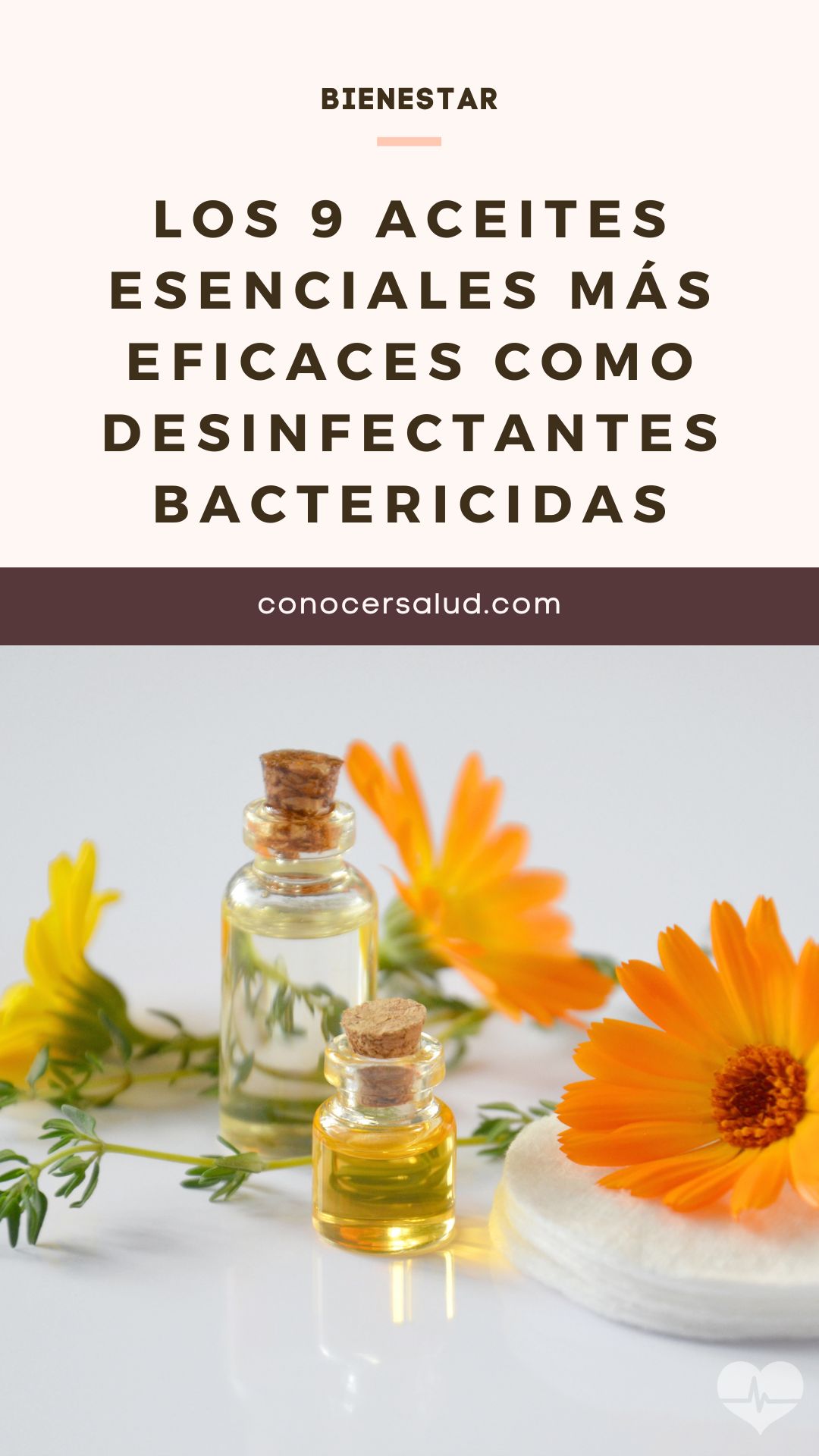 Los 9 aceites esenciales más eficaces como desinfectantes bactericidas