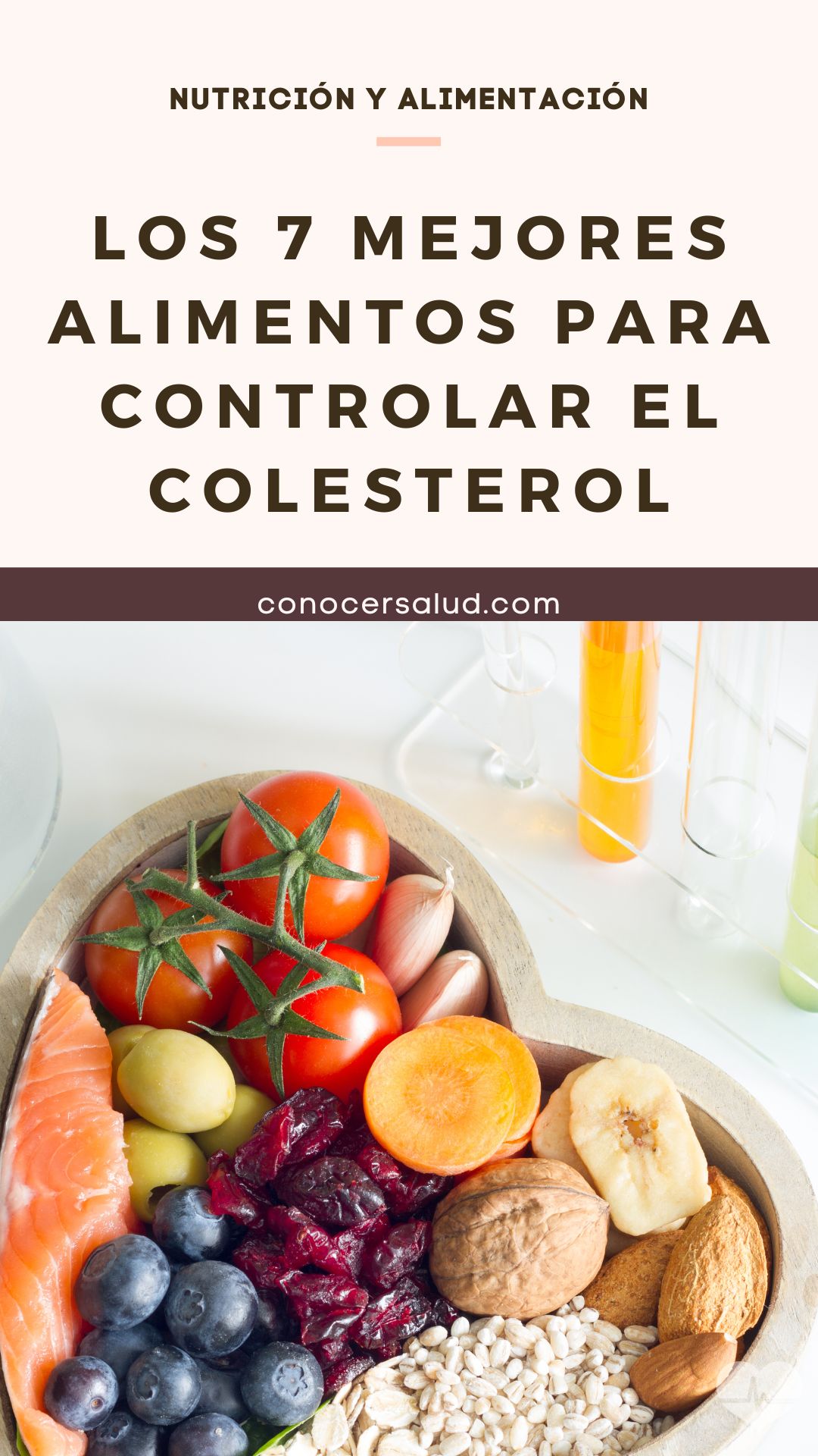 Los 7 mejores alimentos para controlar el colesterol