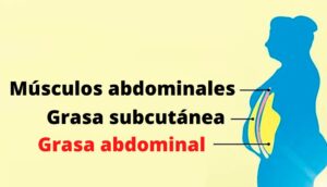 Un estudio revela que esta causa de la grasa abdominal le sorprenderá