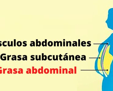 Un estudio revela que esta causa de la grasa abdominal le sorprenderá