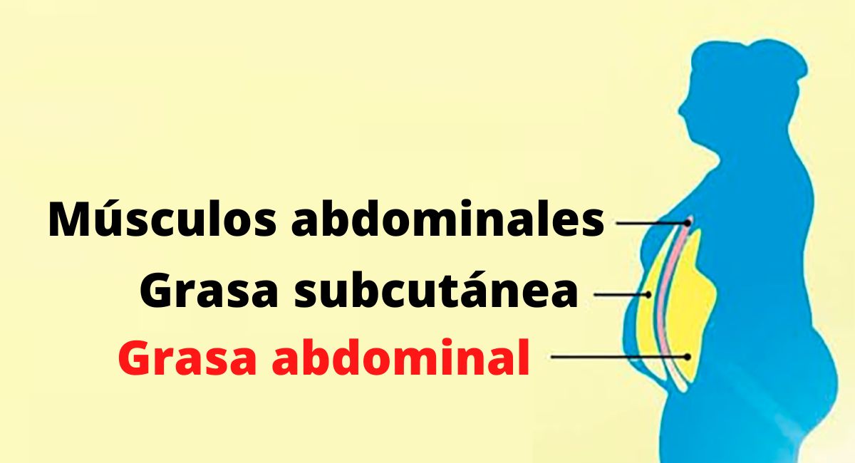 Un estudio revela que esta causa de la grasa abdominal le sorprenderá