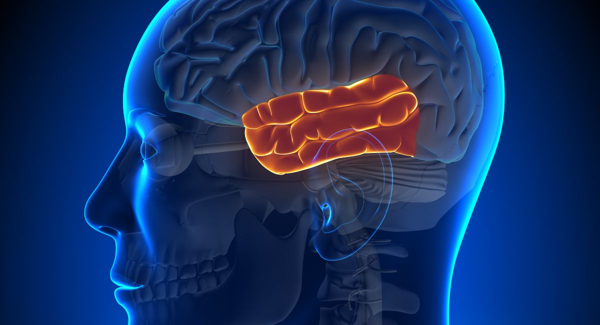 ¿Qué causa un coágulo de sangre en el cerebro? Un médico opina