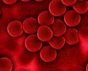 Los 4 tipos de sangre más raros del mundo, son como el oro