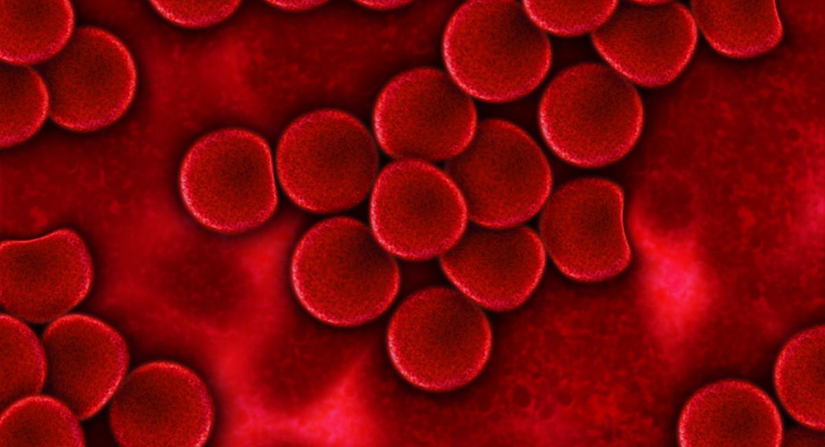 Los 4 tipos de sangre más raros del mundo, son como el oro