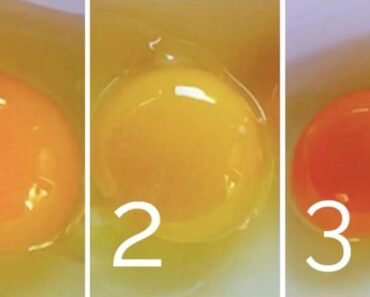 ¿Cuanto más oscura es la yema del huevo, mayor es su valor nutricional?