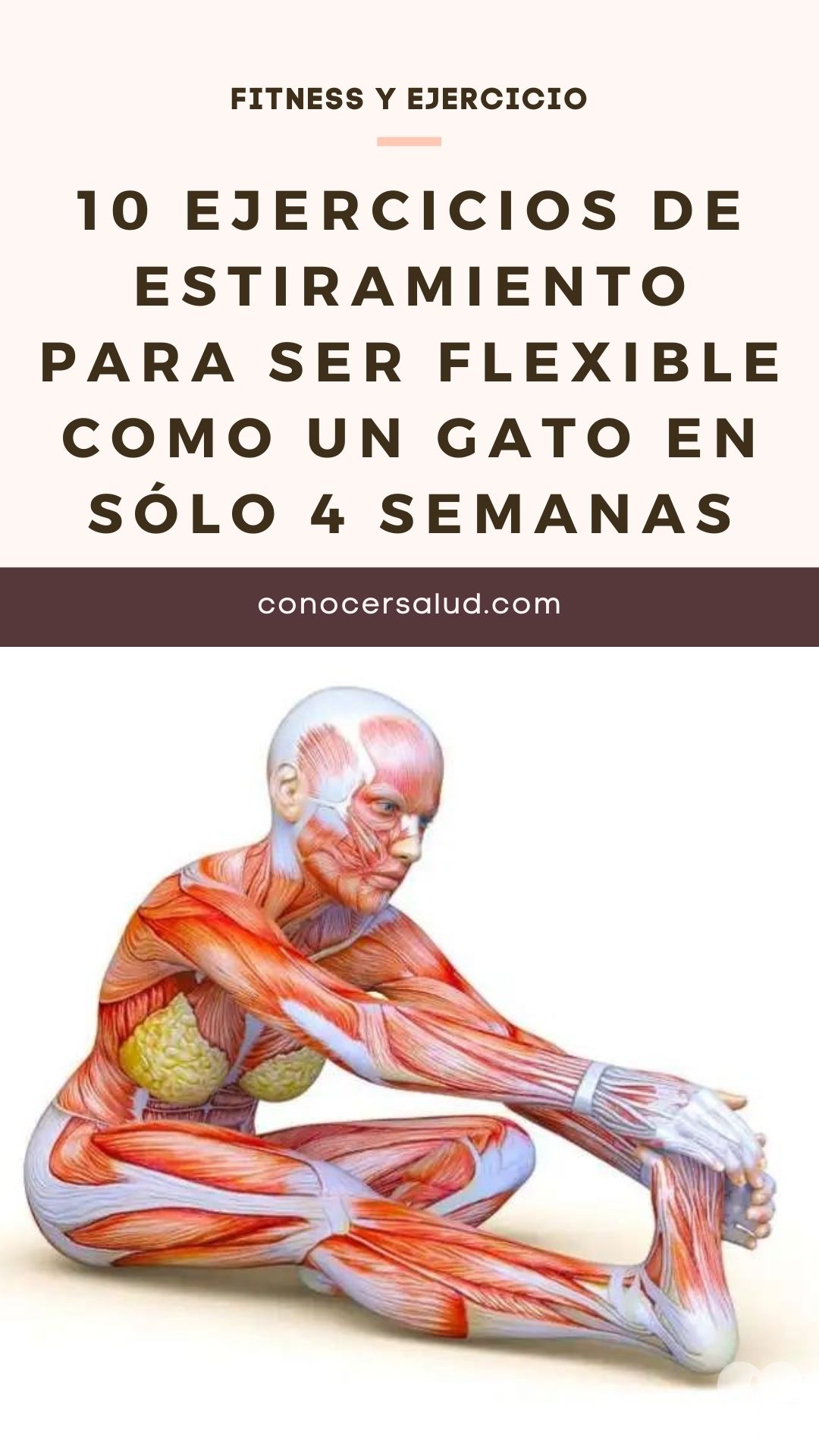 10 ejercicios de estiramiento para ser flexible como un gato en sólo 4 semanas