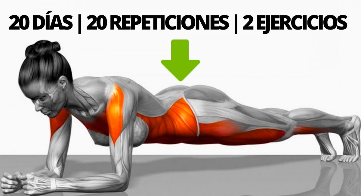 Guía de 20 días para ejercitar todo el cuerpo