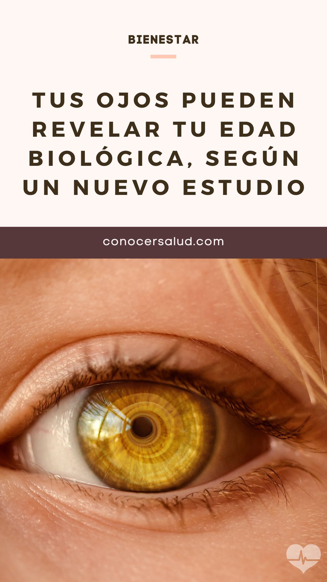 Tus ojos pueden revelar tu edad biológica, según un nuevo estudio