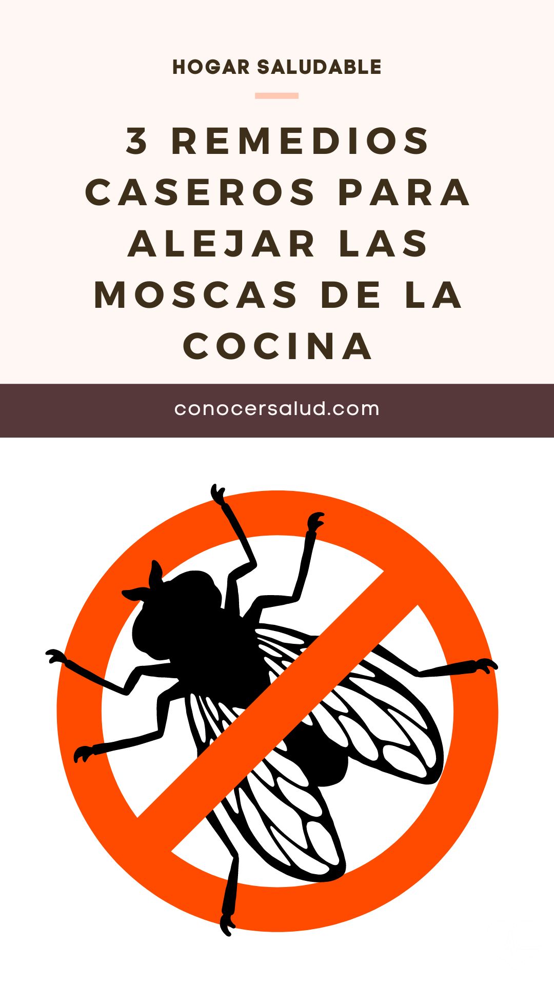 3 remedios caseros para alejar las moscas de la cocina